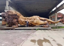 Bức tượng sư tử gỗ oai vệ cao 5m, dài 15m khiến người xem choáng ngợp