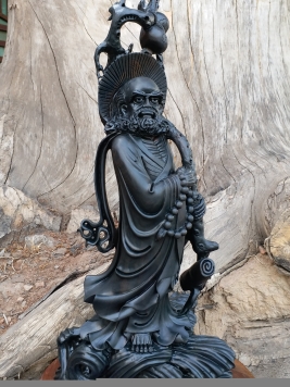 Đạt Ma Quá Hải.. Gỗ Mun Sừng quý hiếm. Kt 52cm 23cm 15cm 