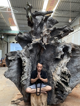 Tương lai có tp đẹp 