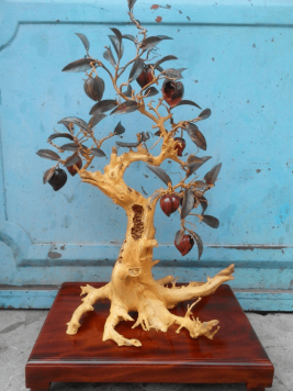 Bon sai và côn trùng cao 62cm