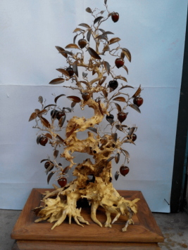 Bon sai và côn trùng gỗ tự nhiên