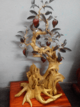 Bon sai và côn trùng