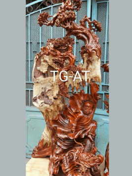 Đạt Ma hàng long