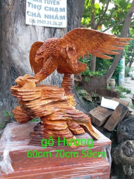 Đại Bàng Săn Mồi 