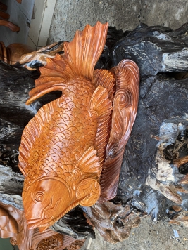 Cá chép gỗ hương 